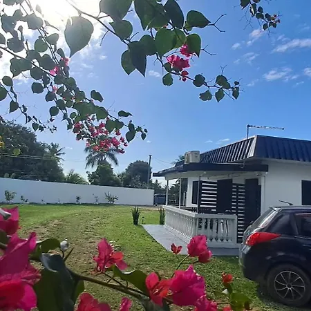 Abm Court Apartments Nadi Exterior photo